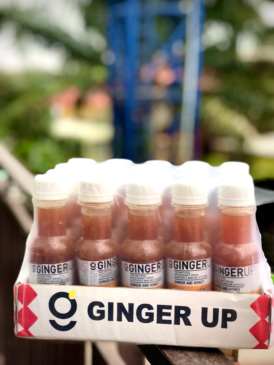 Ginger Up Drink